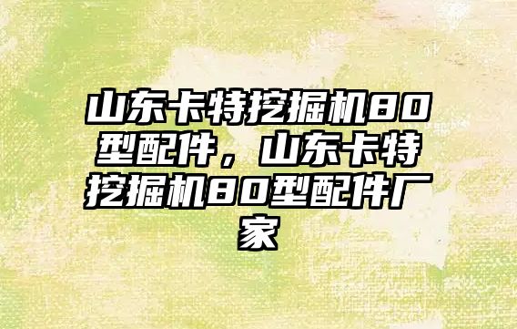 山東卡特挖掘機(jī)80型配件，山東卡特挖掘機(jī)80型配件廠家