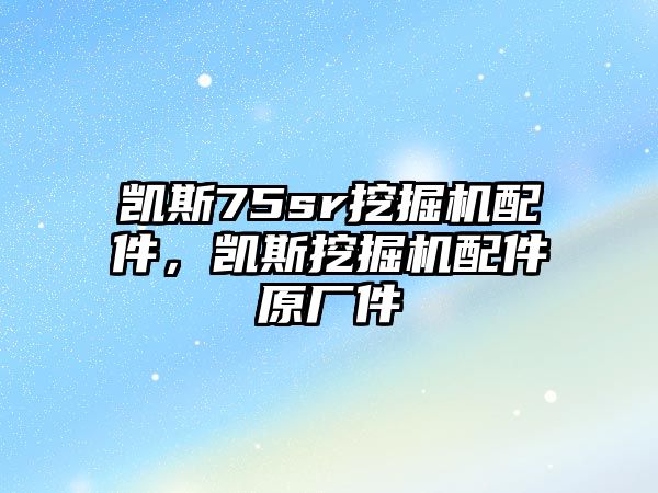 凱斯75sr挖掘機配件，凱斯挖掘機配件原廠件