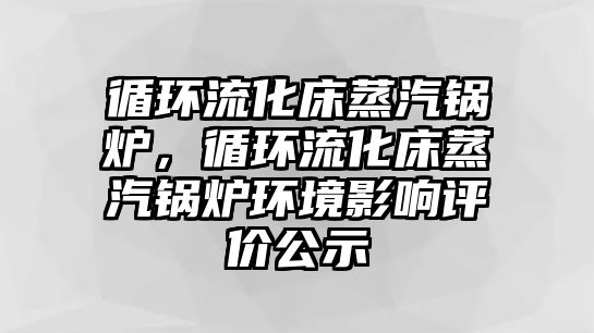 循環(huán)流化床蒸汽鍋爐，循環(huán)流化床蒸汽鍋爐環(huán)境影響評(píng)價(jià)公示