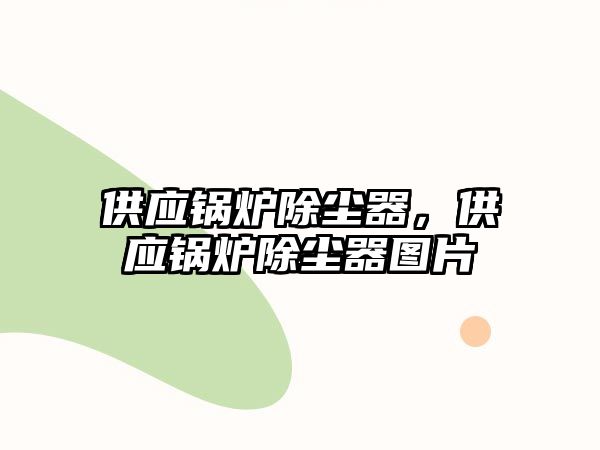 供應(yīng)鍋爐除塵器，供應(yīng)鍋爐除塵器圖片