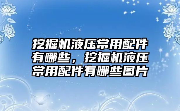 挖掘機(jī)液壓常用配件有哪些，挖掘機(jī)液壓常用配件有哪些圖片