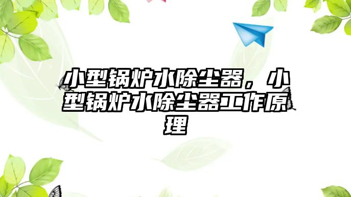 小型鍋爐水除塵器，小型鍋爐水除塵器工作原理