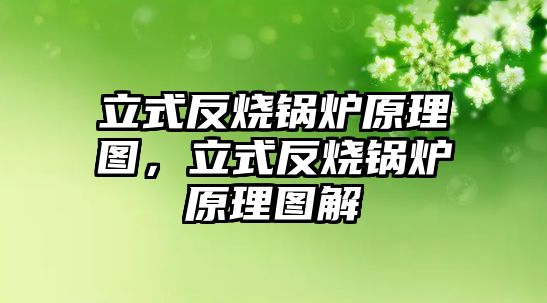 立式反燒鍋爐原理圖，立式反燒鍋爐原理圖解