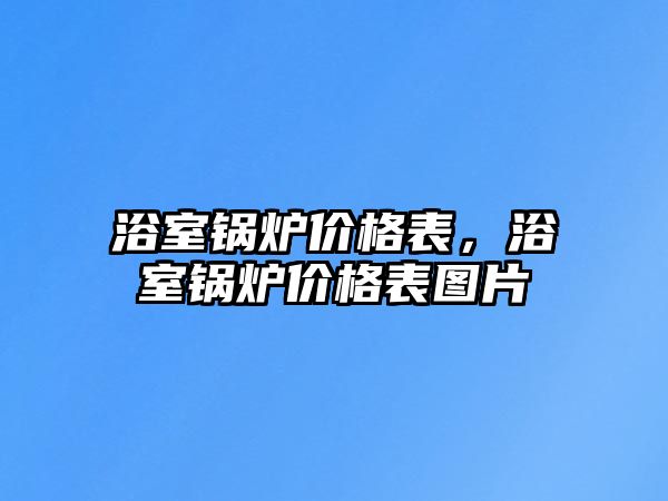 浴室鍋爐價格表，浴室鍋爐價格表圖片