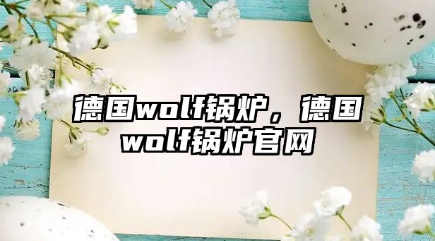 德國(guó)wolf鍋爐，德國(guó)wolf鍋爐官網(wǎng)