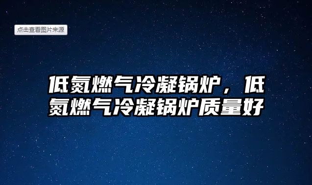 低氮燃?xì)饫淠仩t，低氮燃?xì)饫淠仩t質(zhì)量好