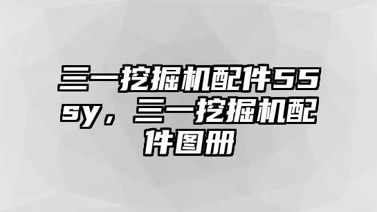 三一挖掘機配件55sy，三一挖掘機配件圖冊