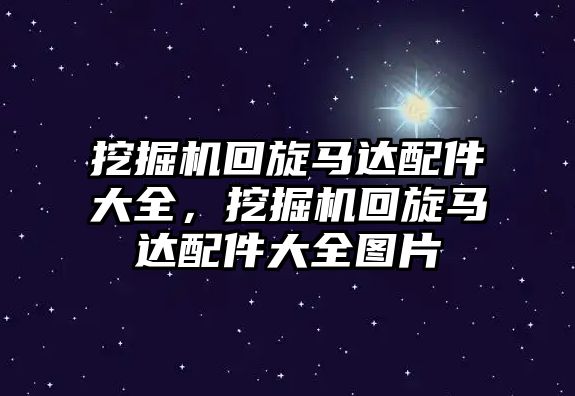 挖掘機回旋馬達配件大全，挖掘機回旋馬達配件大全圖片