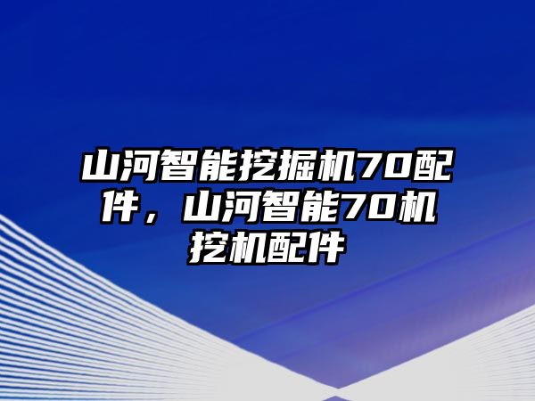 山河智能挖掘機(jī)70配件，山河智能70機(jī)挖機(jī)配件