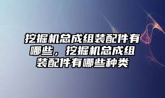 挖掘機總成組裝配件有哪些，挖掘機總成組裝配件有哪些種類