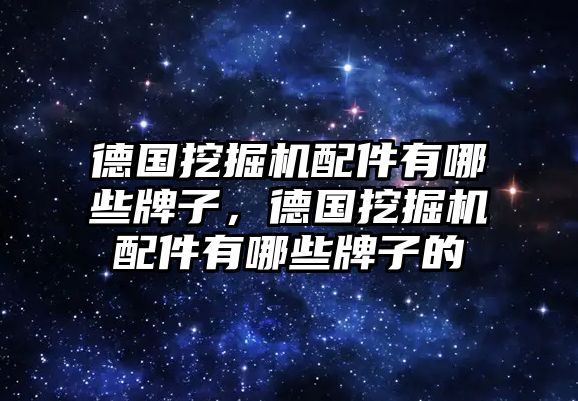 德國(guó)挖掘機(jī)配件有哪些牌子，德國(guó)挖掘機(jī)配件有哪些牌子的