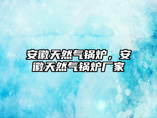 安徽天然氣鍋爐，安徽天然氣鍋爐廠家