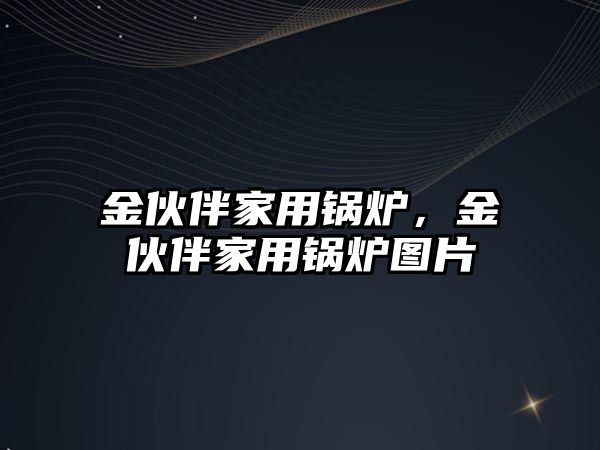 金伙伴家用鍋爐，金伙伴家用鍋爐圖片