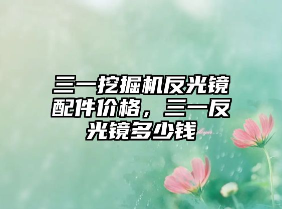 三一挖掘機反光鏡配件價格，三一反光鏡多少錢