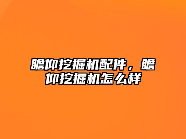 瞻仰挖掘機配件，瞻仰挖掘機怎么樣