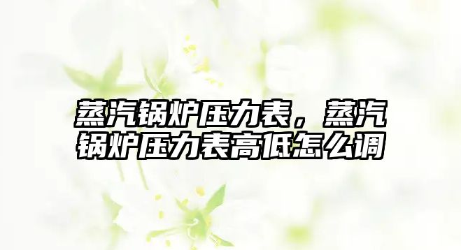 蒸汽鍋爐壓力表，蒸汽鍋爐壓力表高低怎么調(diào)