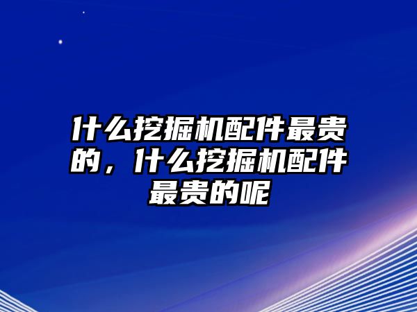 什么挖掘機(jī)配件最貴的，什么挖掘機(jī)配件最貴的呢