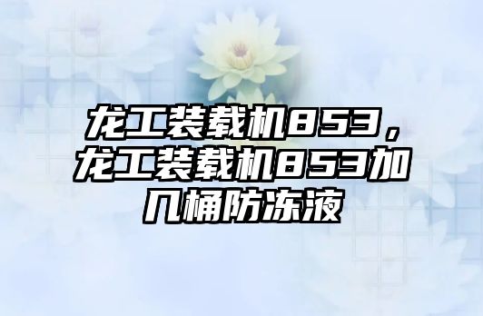 龍工裝載機(jī)853，龍工裝載機(jī)853加幾桶防凍液