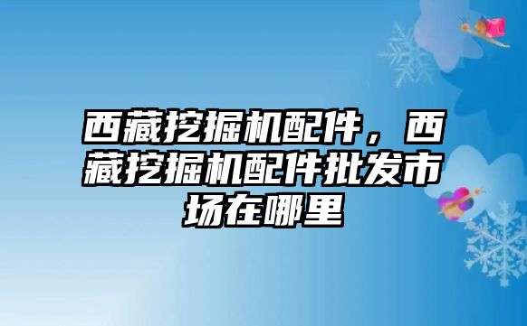 西藏挖掘機配件，西藏挖掘機配件批發(fā)市場在哪里