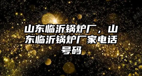 山東臨沂鍋爐廠，山東臨沂鍋爐廠家電話號(hào)碼