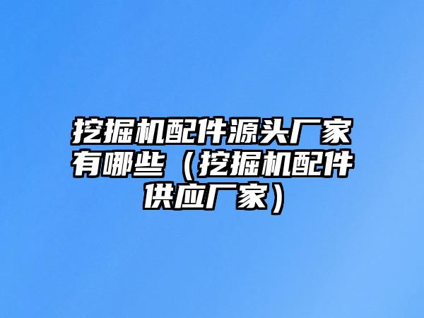 挖掘機配件源頭廠家有哪些（挖掘機配件供應(yīng)廠家）