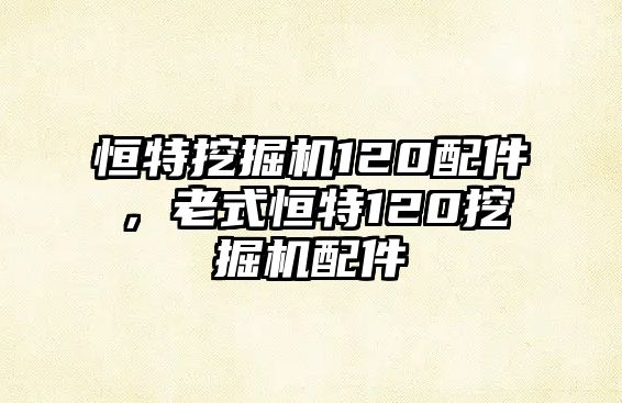 恒特挖掘機(jī)120配件，老式恒特120挖掘機(jī)配件