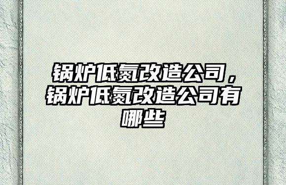 鍋爐低氮改造公司，鍋爐低氮改造公司有哪些