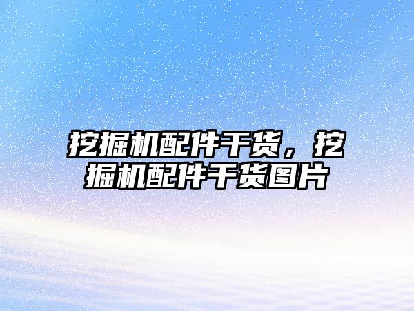 挖掘機配件干貨，挖掘機配件干貨圖片