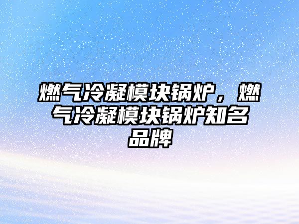 燃?xì)饫淠K鍋爐，燃?xì)饫淠K鍋爐知名品牌