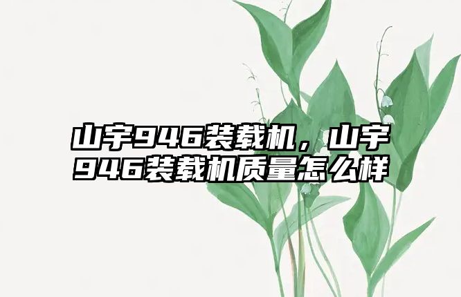 山宇946裝載機(jī)，山宇946裝載機(jī)質(zhì)量怎么樣