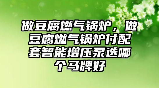 做豆腐燃氣鍋爐，做豆腐燃氣鍋爐付配套智能增壓泵迭哪個馬牌好