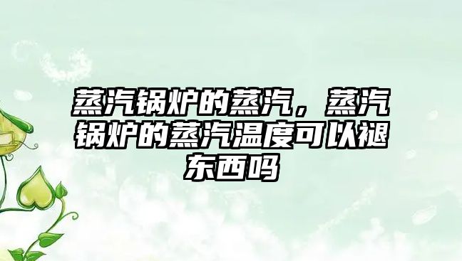 蒸汽鍋爐的蒸汽，蒸汽鍋爐的蒸汽溫度可以褪東西嗎