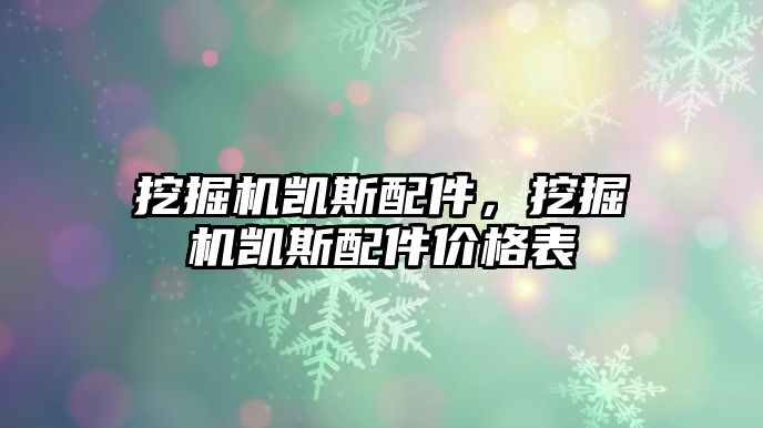 挖掘機(jī)凱斯配件，挖掘機(jī)凱斯配件價(jià)格表