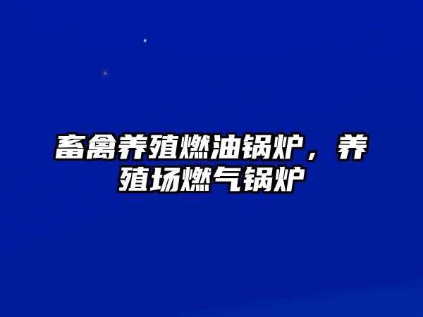 畜禽養(yǎng)殖燃油鍋爐，養(yǎng)殖場(chǎng)燃?xì)忮仩t