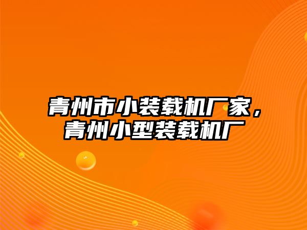 青州市小裝載機(jī)廠家，青州小型裝載機(jī)廠