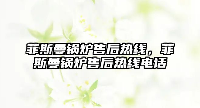 菲斯曼鍋爐售后熱線，菲斯曼鍋爐售后熱線電話