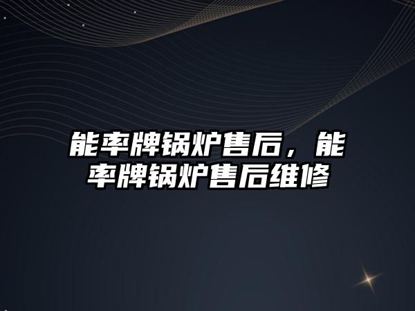 能率牌鍋爐售后，能率牌鍋爐售后維修