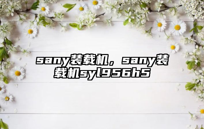 sany裝載機，sany裝載機syl956h5