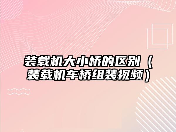 裝載機(jī)大小橋的區(qū)別（裝載機(jī)車(chē)橋組裝視頻）