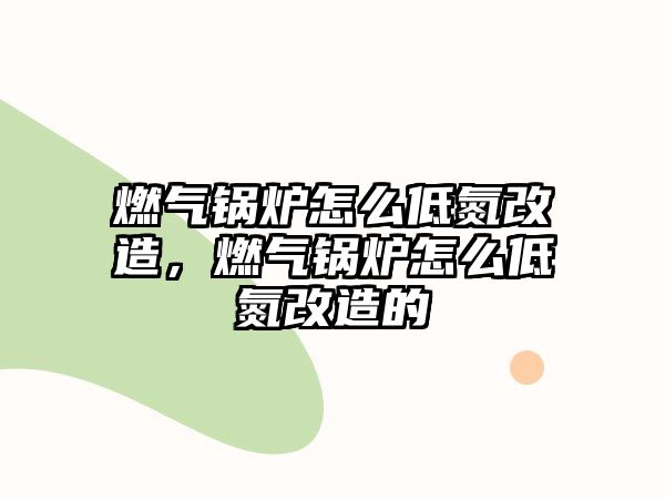 燃?xì)忮仩t怎么低氮改造，燃?xì)忮仩t怎么低氮改造的