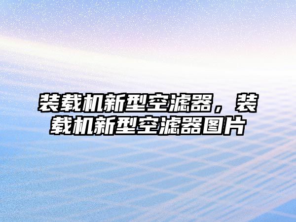 裝載機(jī)新型空濾器，裝載機(jī)新型空濾器圖片