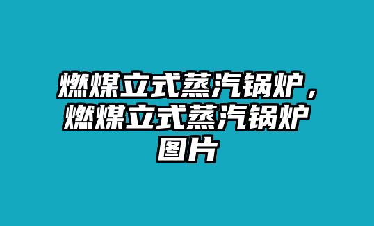 燃煤立式蒸汽鍋爐，燃煤立式蒸汽鍋爐圖片