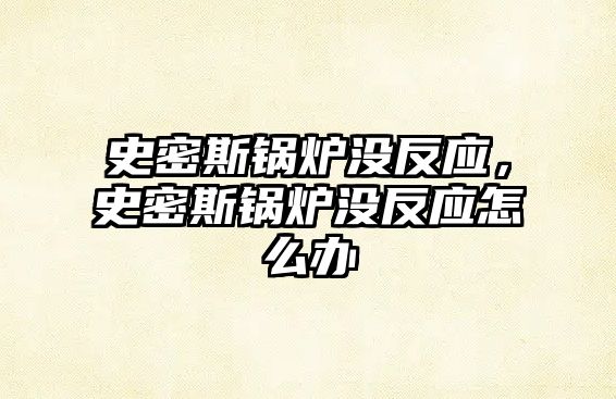 史密斯鍋爐沒反應，史密斯鍋爐沒反應怎么辦