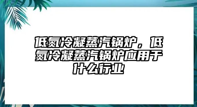 低氮冷凝蒸汽鍋爐，低氮冷凝蒸汽鍋爐應(yīng)用于什么行業(yè)