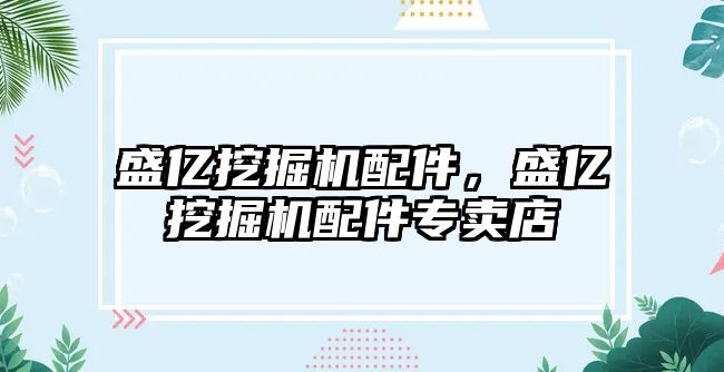 盛億挖掘機配件，盛億挖掘機配件專賣店