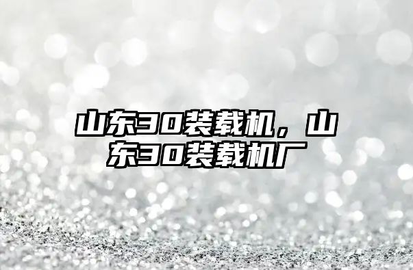 山東30裝載機(jī)，山東30裝載機(jī)廠