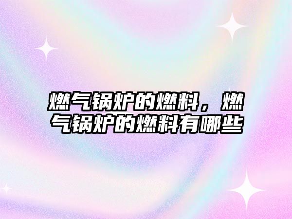 燃?xì)忮仩t的燃料，燃?xì)忮仩t的燃料有哪些