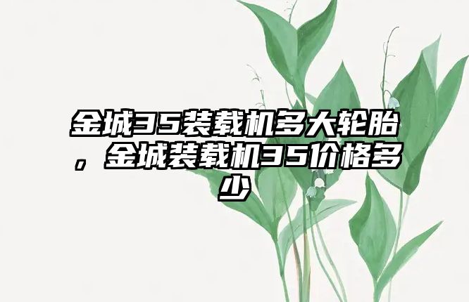 金城35裝載機多大輪胎，金城裝載機35價格多少