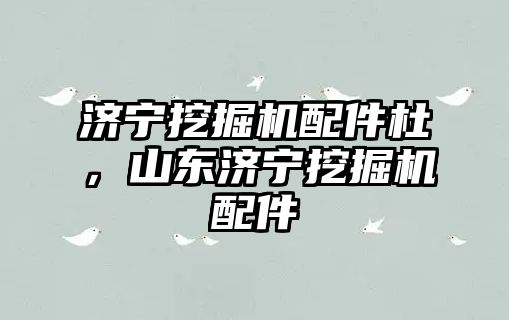 濟(jì)寧挖掘機(jī)配件杜，山東濟(jì)寧挖掘機(jī)配件