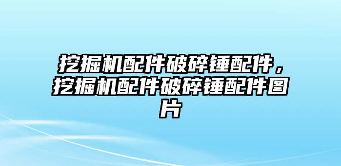 挖掘機(jī)配件破碎錘配件，挖掘機(jī)配件破碎錘配件圖片